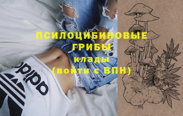 прущая мука Сосновка