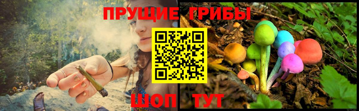даркнет сайт  Вход с VPN  Псилоцибиновые грибы GOLDEN TEACHER  Рузаевка  Галлюциногенные грибы мухоморы 